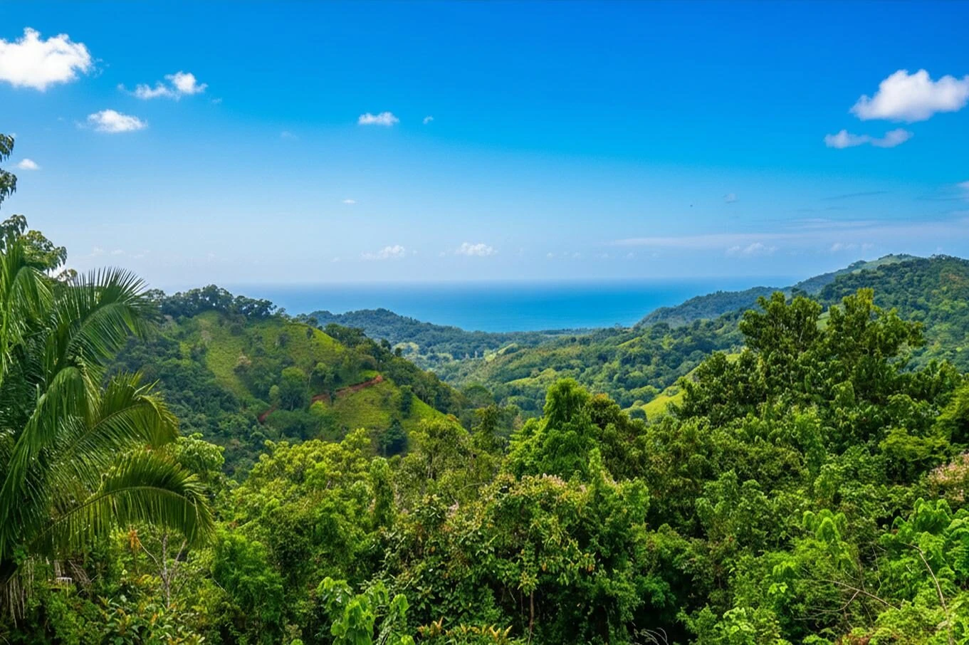 Pacific landscape and ocean near Corozalito